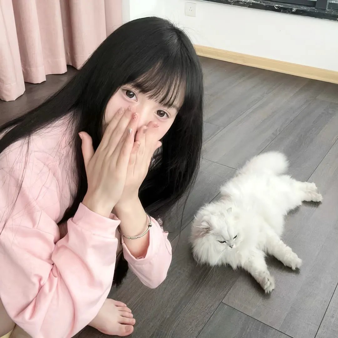 长颈鹿扎拉法