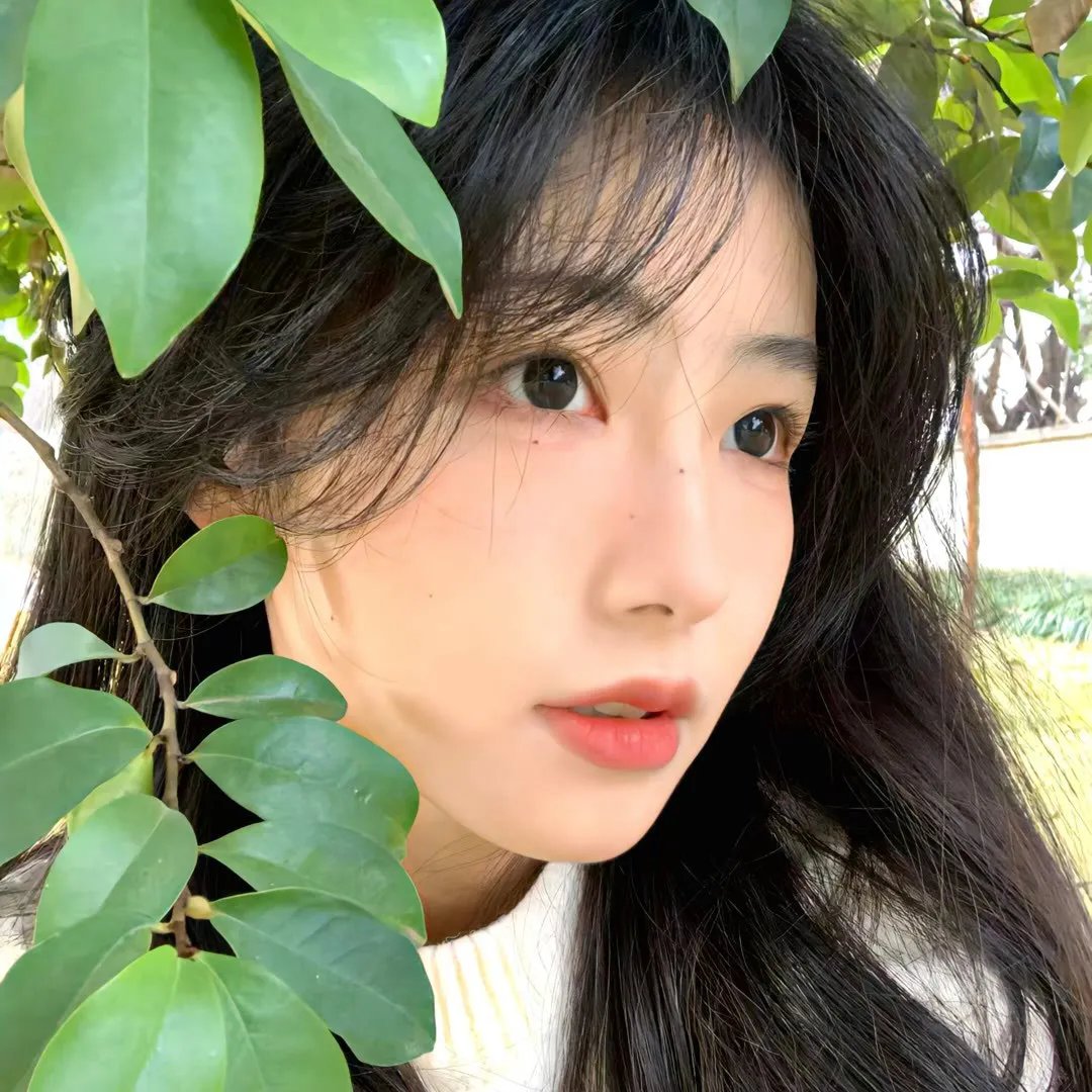 月亮咒语